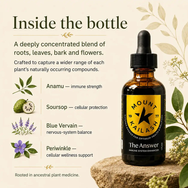 The Answer - Immune System Enhancer
