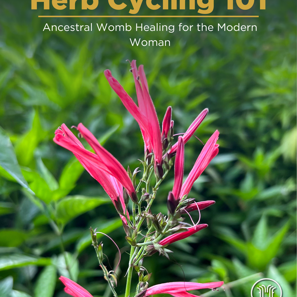 Herb Cycling 101 - Free E-book