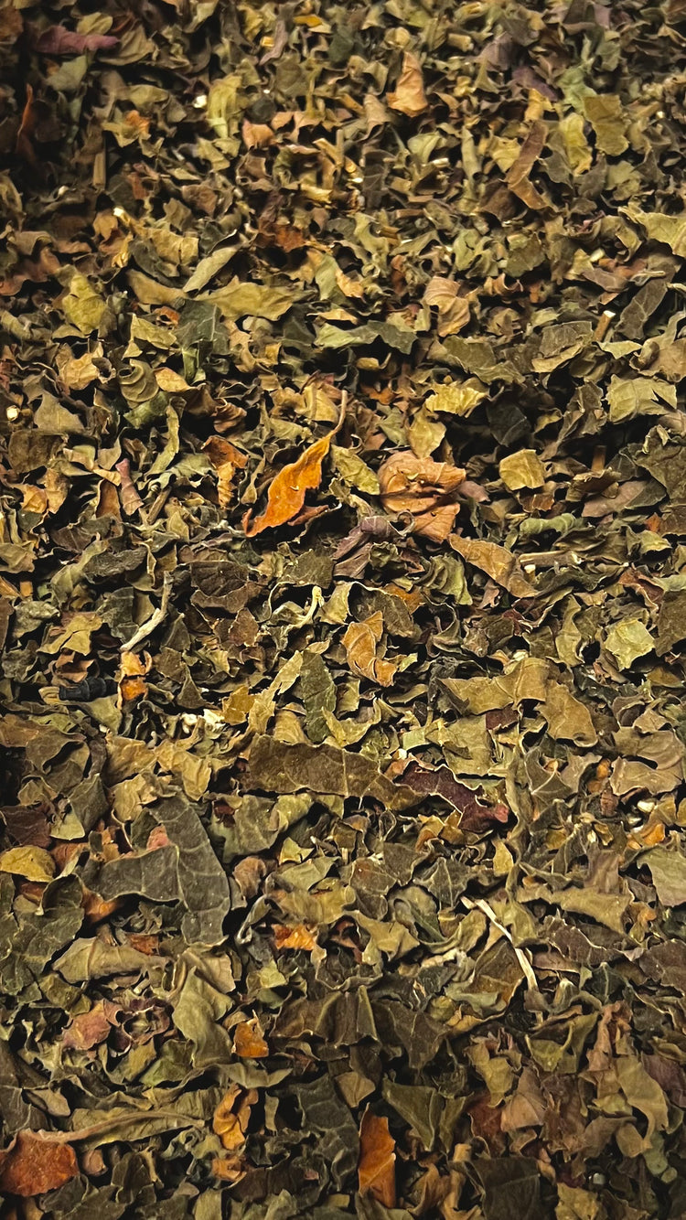 Patchouli Leaf Tea