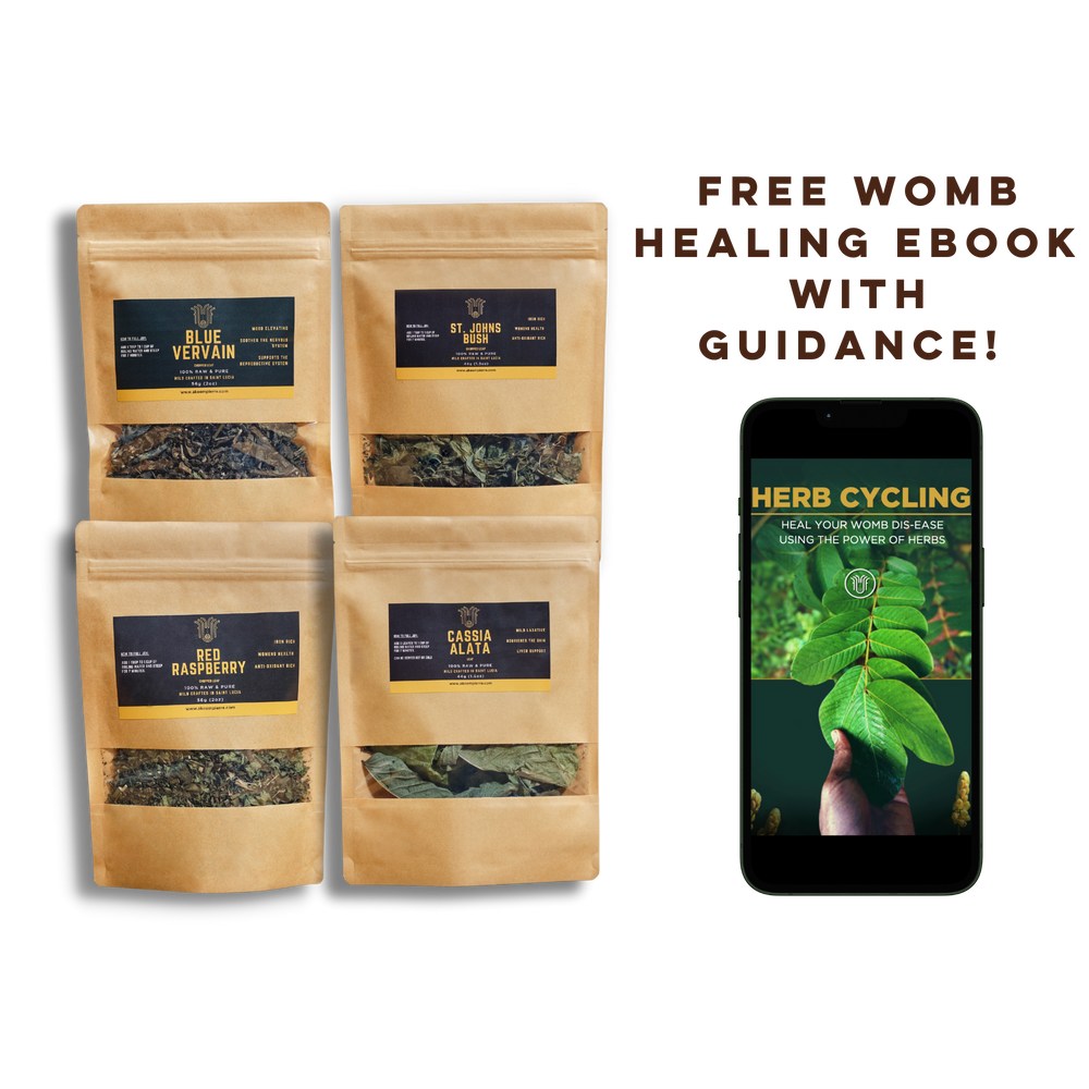 
                  
                    Herb Cycling Womb Healing Bundle
                  
                