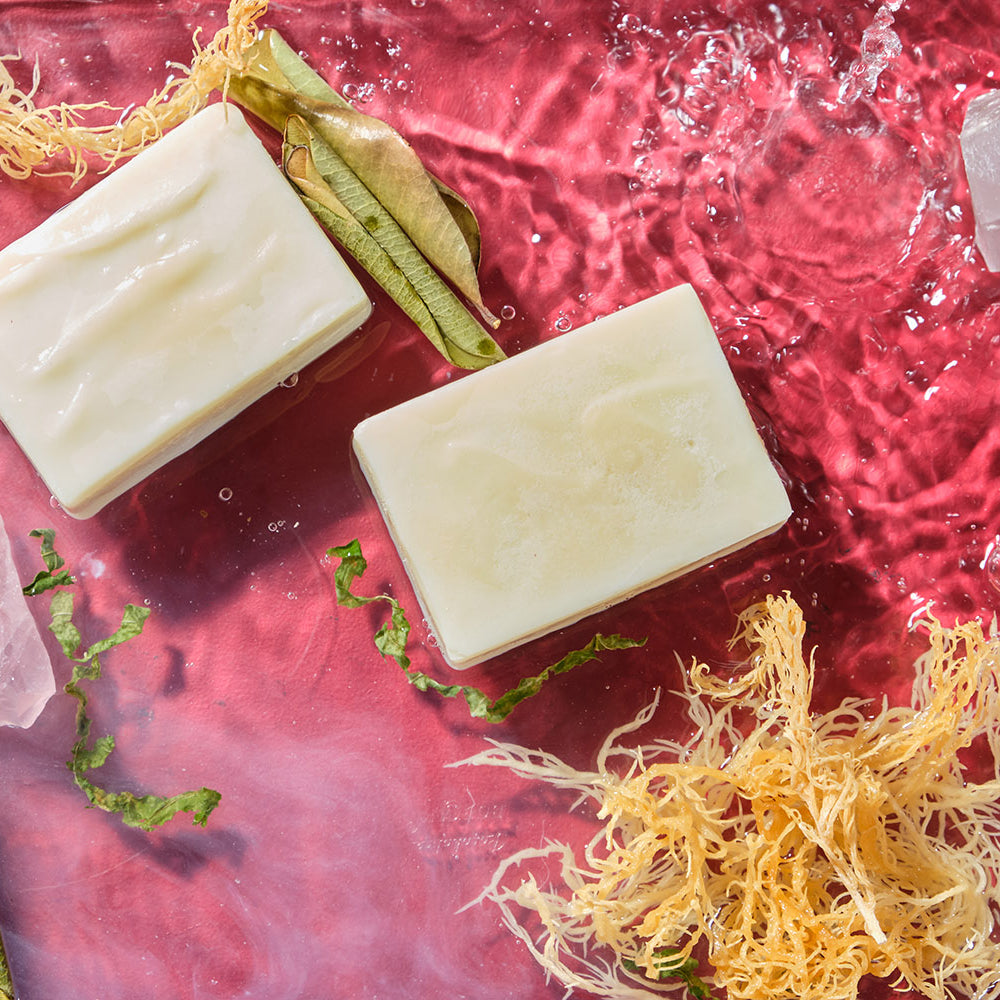 
                  
                    Seamoss Soap (Three-Pack)
                  
                