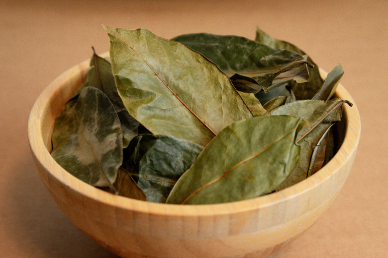 Soursop Leaf